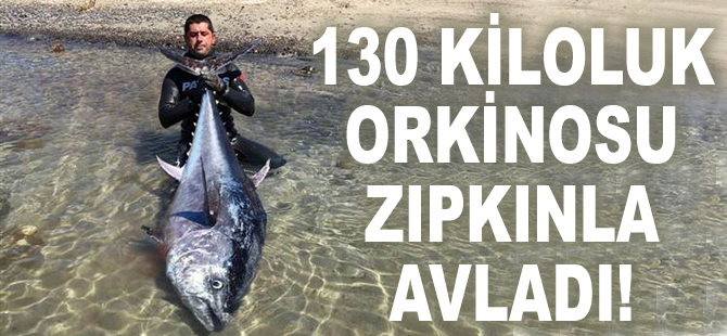 Zıpkınla 130 kiloluk orkinos avladı