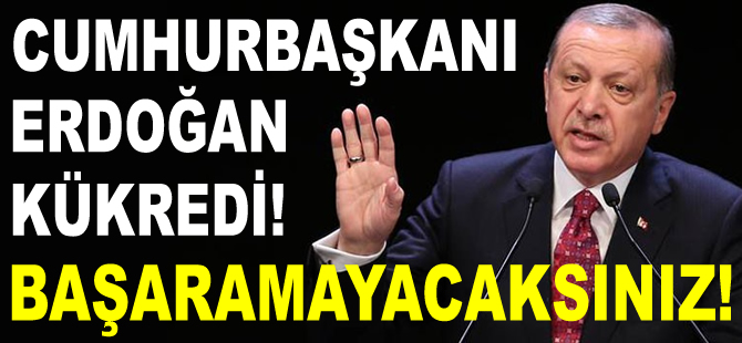 Cumhurbaşkanı Erdoğan, terör örgütlerine gözdağı verdi "Başaramayacaksınız"