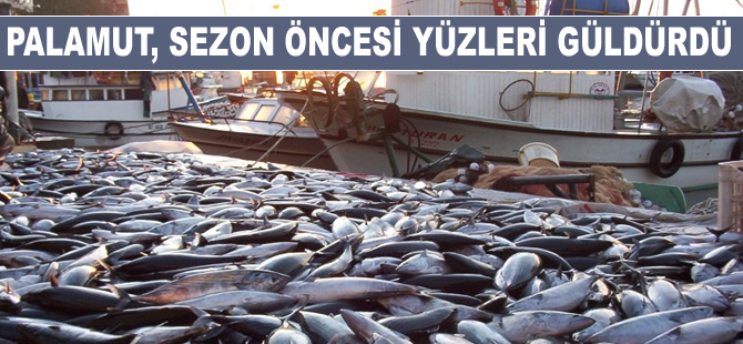 Sezon öncesinde palamut bereketi, yüzleri güldürdü