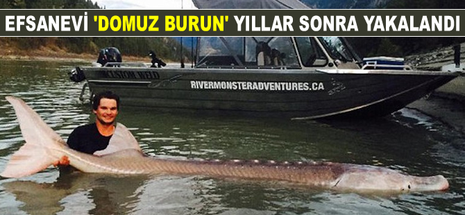 Efsanevi ‘Domuz Burun’ yıllar sonra yakalandı!