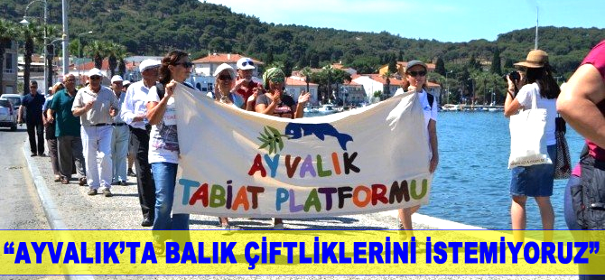 Ayvalık Tabiat Platformu: Ayvalık’ta balık çiftlikleri istemiyoruz