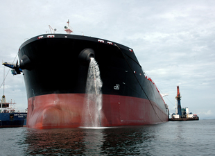 Armatörlere 50 milyar dolar 'biyo istila' faturası