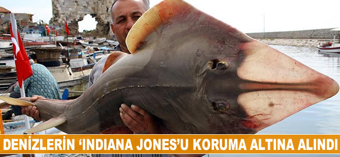 Denizlerin 'Indiana Jones'u artık koruma altında