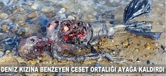 Deniz kızına benzeyen ceset ortalığı ayağa kaldırdı