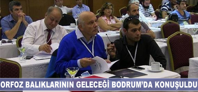 Orfoz balıklarının geleceği Bodrum'da konuşuldu