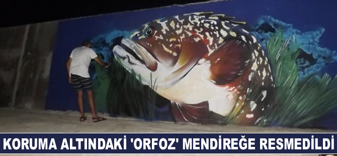 Koruma altındaki 'Orfoz Balığı' liman mendireğine resmedildi