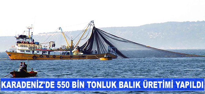 Karadeniz'de son beş yıl içerisinde 550 bin tonluk balık üretimi yapıldı
