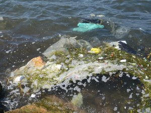 Su arıtayım derken, deniz simsiyah oldu