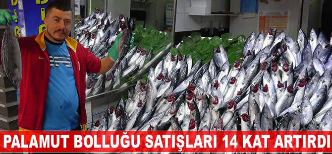 İzmir Balık Hali'nde palamut bolluğu, satışları 14 kat artırdı