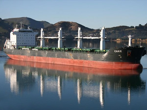 Çanakkale Boğazı'nda iki gemi çatıştı