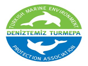 Çocuklar, denizi daha iyi öğrenecek