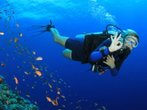 Antalya'da 'Sualtı Turizmi' için düğmeye basıldı