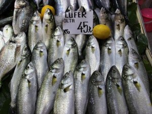 Lüferin kilosu 45 liraya yükseldi