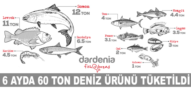 Dardenia, 6 ayda 60 ton deniz ürünü satışı gerçekleştirdi