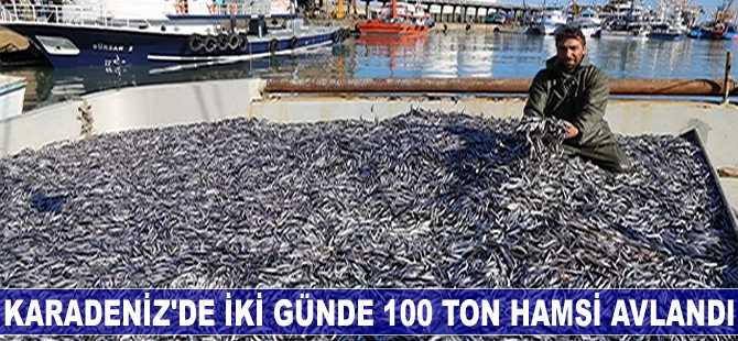 Karadenizli balıkçılar iki günde 100 ton hamsi avladı