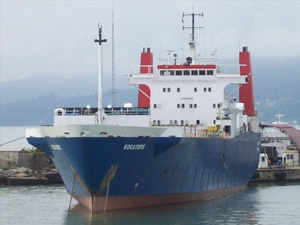 Ukrayna, Kırım’a sefer yapan M/V VARYAG isimli gemiyi gıyaben tutukladı