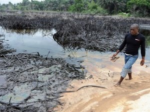 Nijerya Deltası'ndaki kirlilik tarımı ve balıkçılığı engelliyor