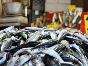 Balık stoğunun üçte biri, aşırı avlanma sonucu tükendi