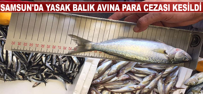 Samsun'da yasak balık avına idari para cezası kesildi