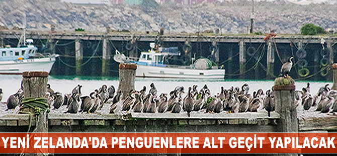 Tüm dünyaya örnek olacak bir davranış