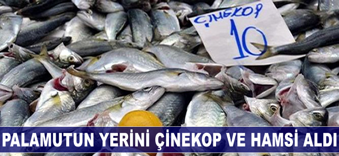 Palamutun yerini, çinekop ve hamsi aldı
