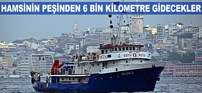 Karadeniz’in incisi hamsinin geleceği araştırılacak