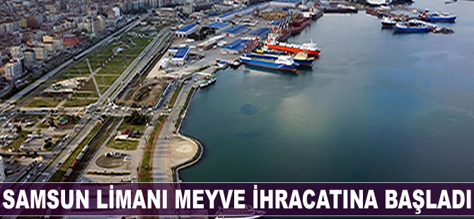 Samsun Limanı meyve ihracatına başladı