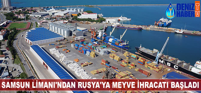 Samsun Limanı'ndan Rusya'ya meyve ihracatı başladı