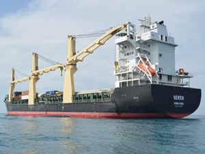 M/V SEREN, Kanada'nın Quebec City Limanı'nda seferden men edildi