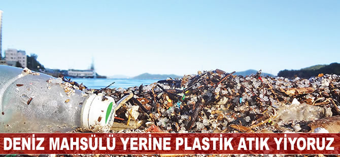 Deniz mahsulü diye plastik yiyoruz