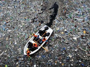 Deniz mahsulü diye plastik yiyoruz