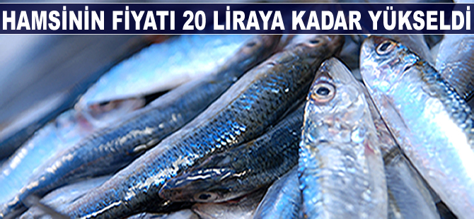 Hamsinin fiyatı 20 liraya yükseldi