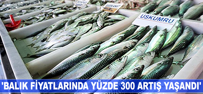 Soğuk hava balık fiyatlarına tavan yaptırdı