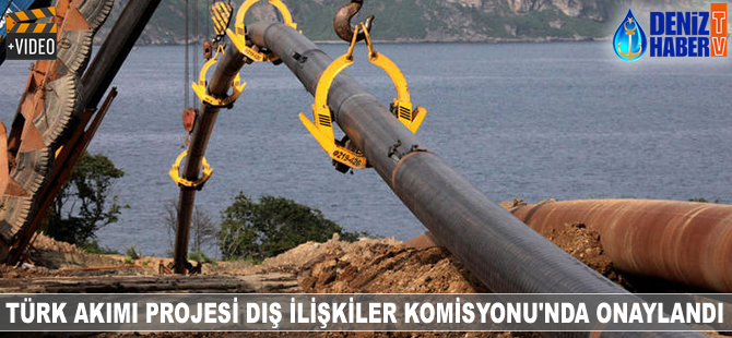 Türk Akımı Projesi Dış İlişkiler Komisyonu'nda onaylandı