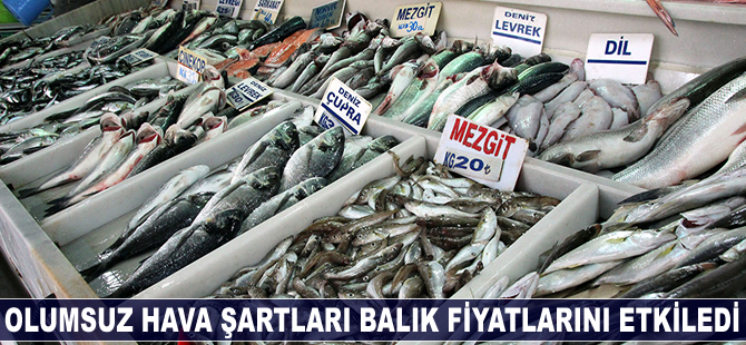 Olumsuz hava şartları balık fiyatlarını etkiledi