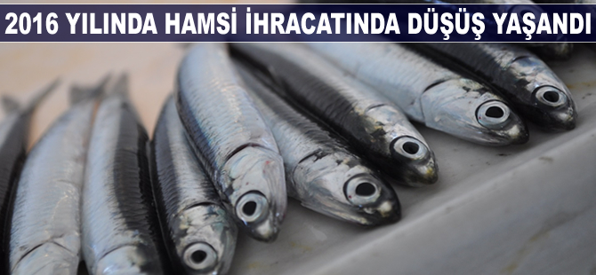Hamsi, 2016 yılında ihracatta düşüş yaşadı