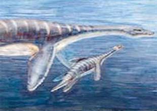 Norveç'te 15 metrelik deniz canavarı