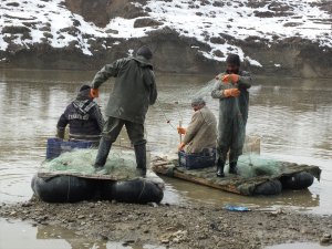Murat Nehri'nde av sezonu başladı