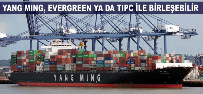 Yang Ming, Evergreen ya da TIPC ile ortaklık kurabilir