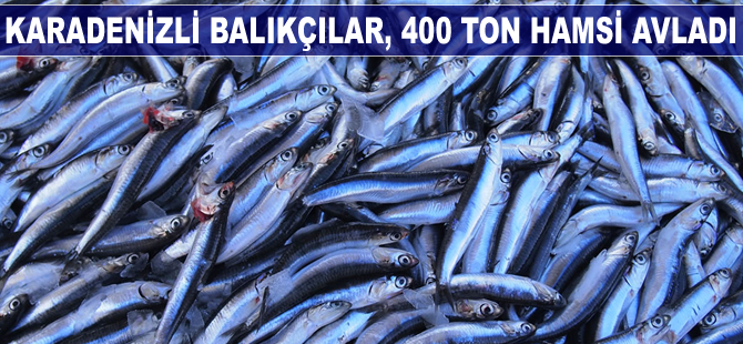 Karadenizli balıkçılar, 400 ton hamsi avladı