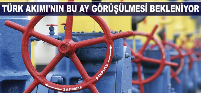 Türk Akımı'nın bu ay görüşülmesi bekleniyor