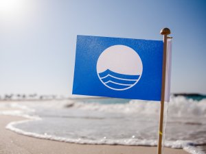 Ege kıyılarında 19 mavi bayrak iptal edildi