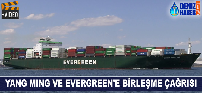 Tayvan Devleti, Yang Ming ve Evergreen'e birleşme çağrısı yaptı