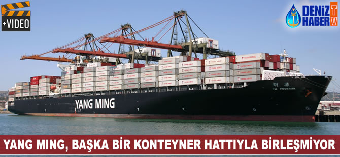 Yang Ming, başka bir konteyner hattıyla birleşmiyor