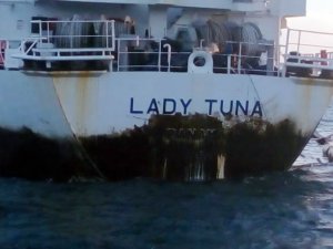 Mare Deniz Temizlik Şirketi'nden M/V LADY TUNA açıklaması