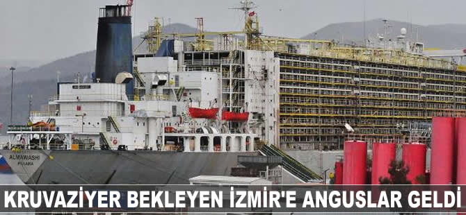 Kruvaziyer bekleyen İzmir'e anguslar geldi