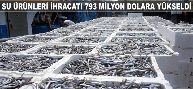 Su ürünleri ihracatı 793 milyon 879 bin dolara yükseldi