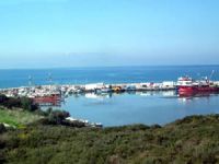 Didim Taşburun Balıkçı Barınağı 10 yıllığına kiralandı