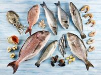 Su ürünleri ihracatının yüzde 73'ünü Egeli balıkçılar gerçekleştirdi