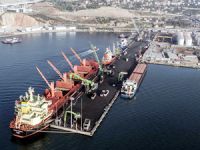 İzmit Körfezi'nde sızan petrol, deniz kirliliğine neden oldu